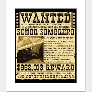 WANTED: Senor Sombrero, Gato Mejor Posters and Art